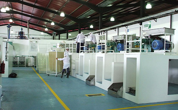 河源市草莓污视频(chéng)米麵設備機械廠(chǎng)